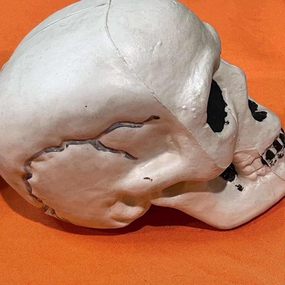 6/$25 Gray and White Skull Decor Set - Picture 5 of 15